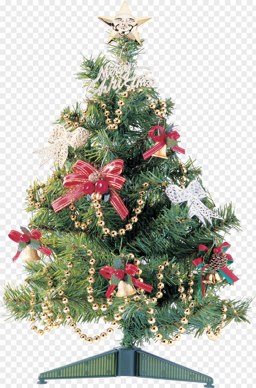 Christmas New Year Tree Yolki Clip Art PNG