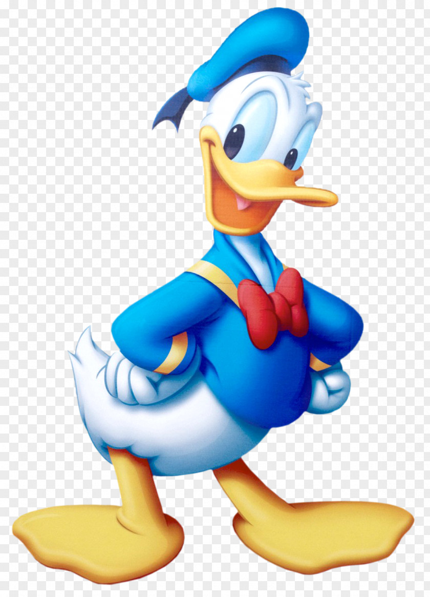 Duck Donald Desktop Wallpaper PNG