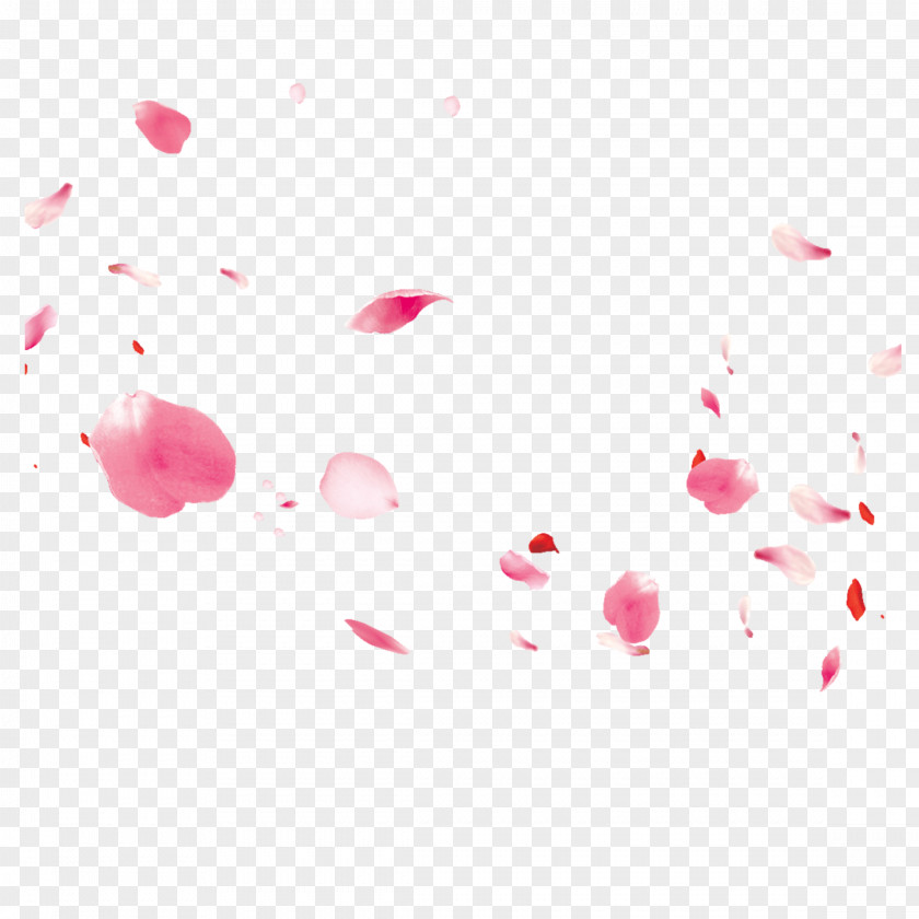 Magenta Petal Pink Red Heart Pattern PNG