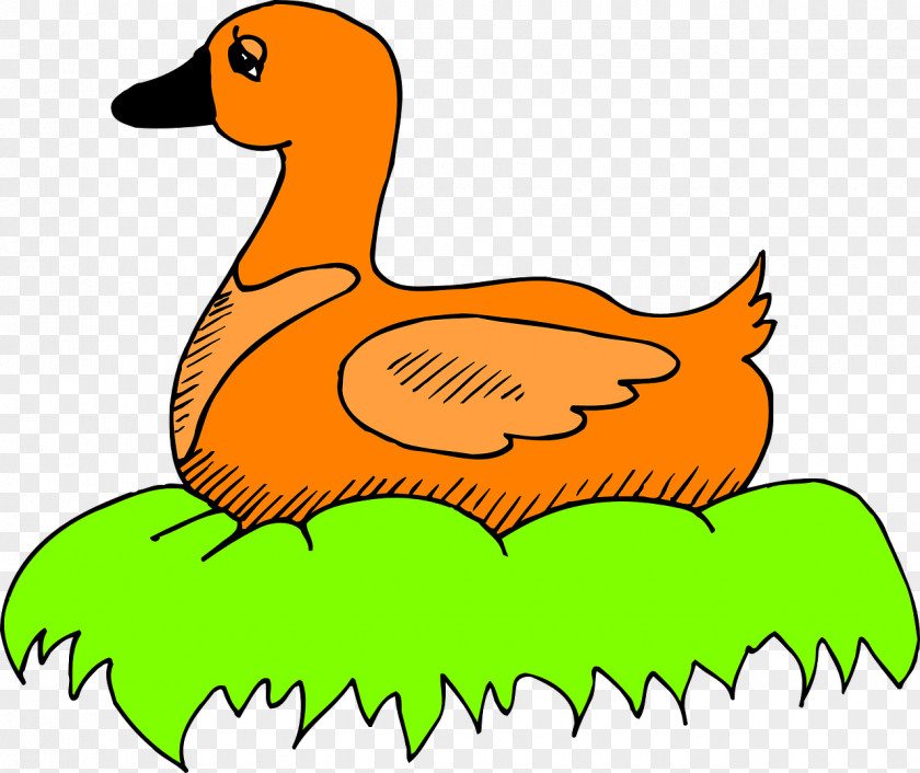 Orange Duck Bird Nest Clip Art PNG