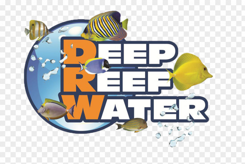 Reef Florida Logo Brand Food PNG