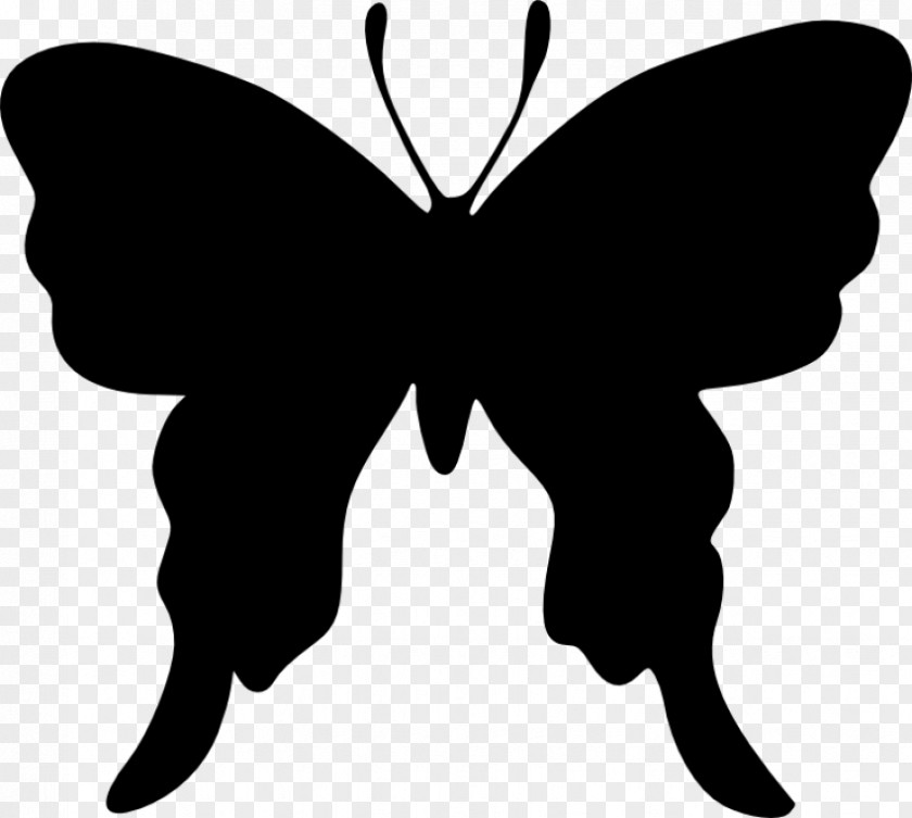 Butterfly Brush-footed Butterflies Silhouette Drawing Clip Art PNG