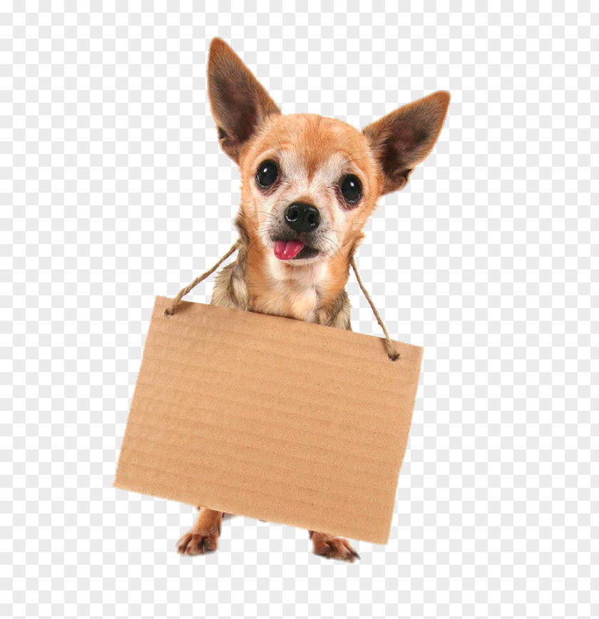 Creative Puppy Body Listed Chihuahua Yorkshire Terrier French Bulldog German Shepherd Shih Tzu PNG