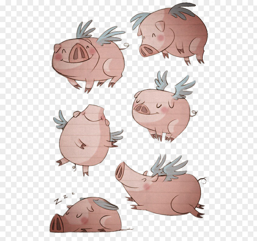 Flying Pig Domestic Drawing Illustration PNG