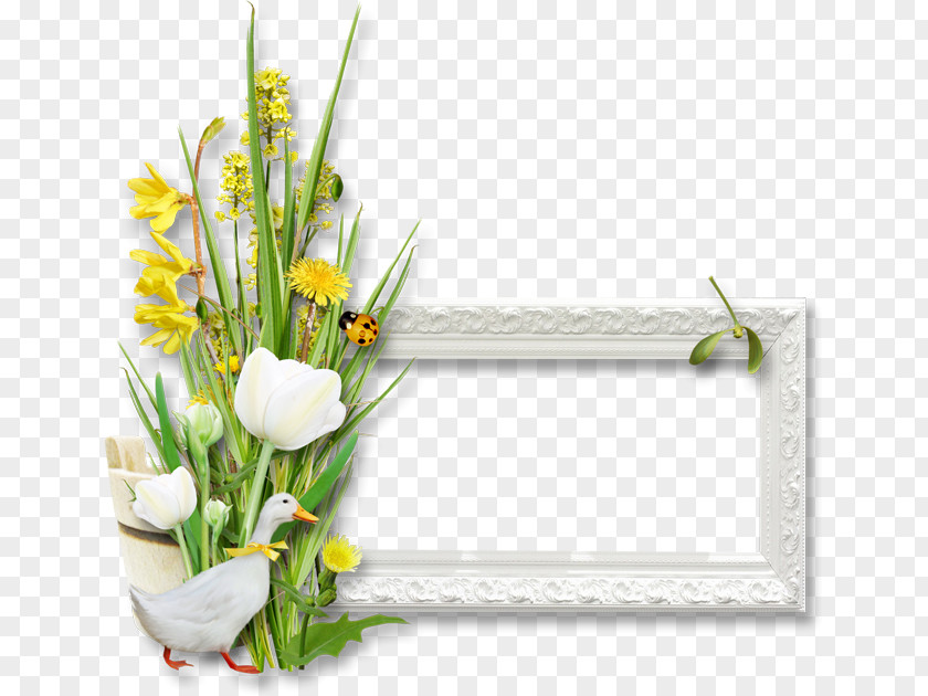 Most Picture Frames Floral Design Easter Photography PNG