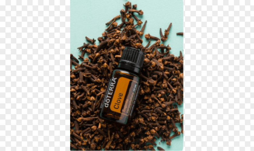 Oil DoTerra Essential Of Clove PNG
