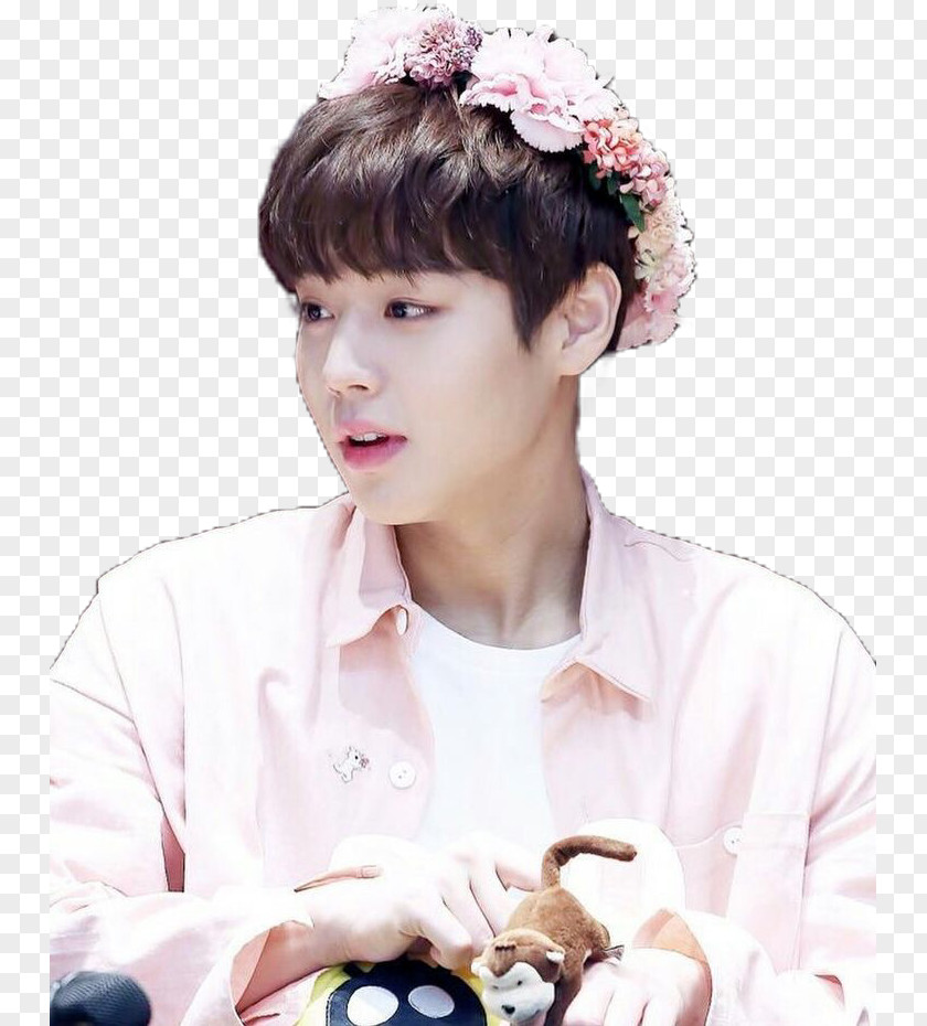 Park Jihoon Wanna One Produce 101 Season 2 Nothing Without You PNG