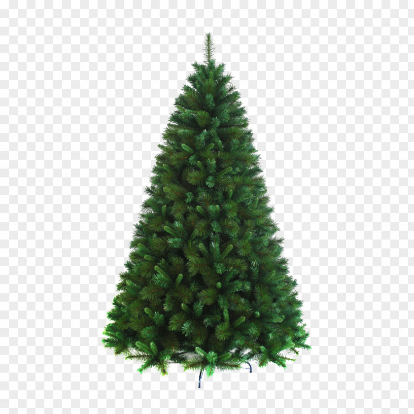 The Pine Tree Artificial Christmas Balsam Hill PNG