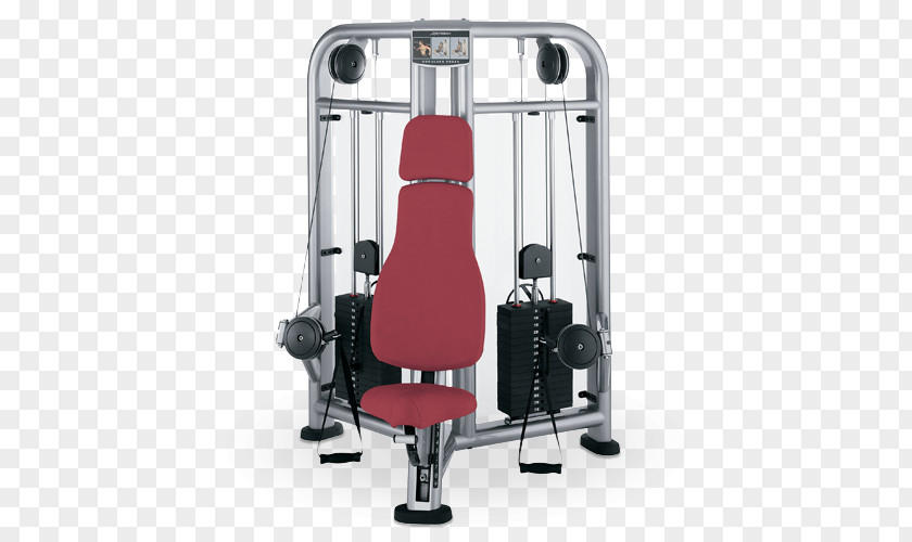 Arm Overhead Press Exercise Equipment Bench Life Fitness PNG
