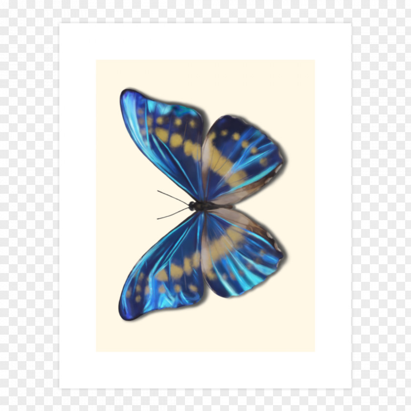 Butterfly Monarch Brush-footed Butterflies Cobalt Blue PNG