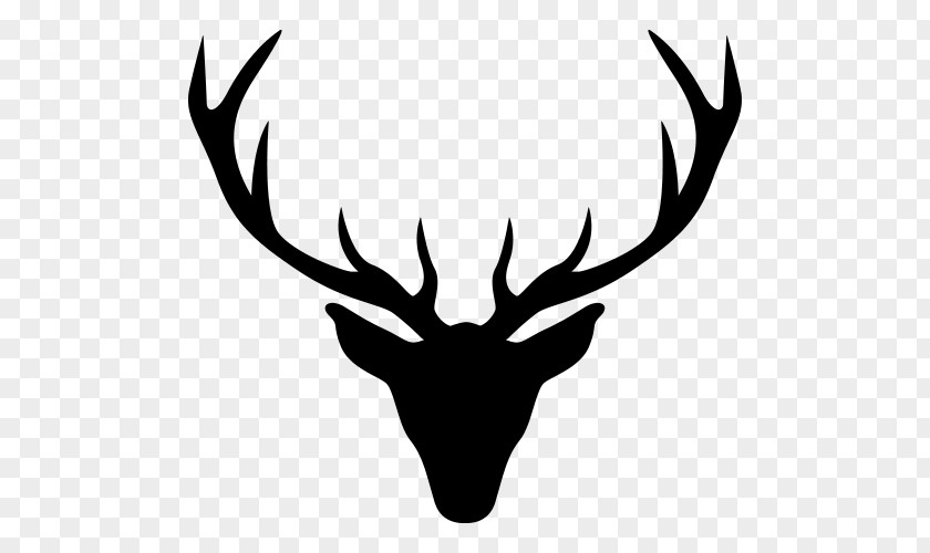 Deer Reindeer White-tailed Moose Antler PNG