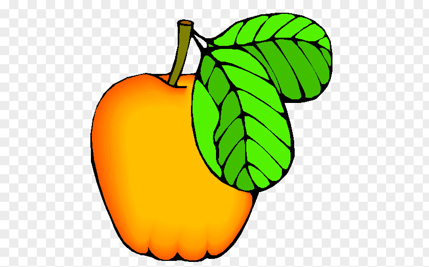 Apple Cucurbita Auglis Fruit Clip Art PNG