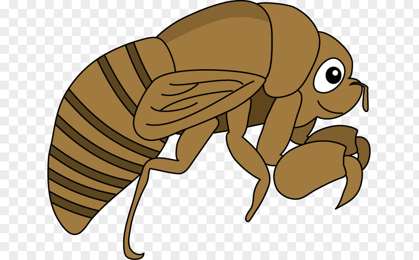 Flea Cicadidae 幼虫 Insect Clip Art PNG