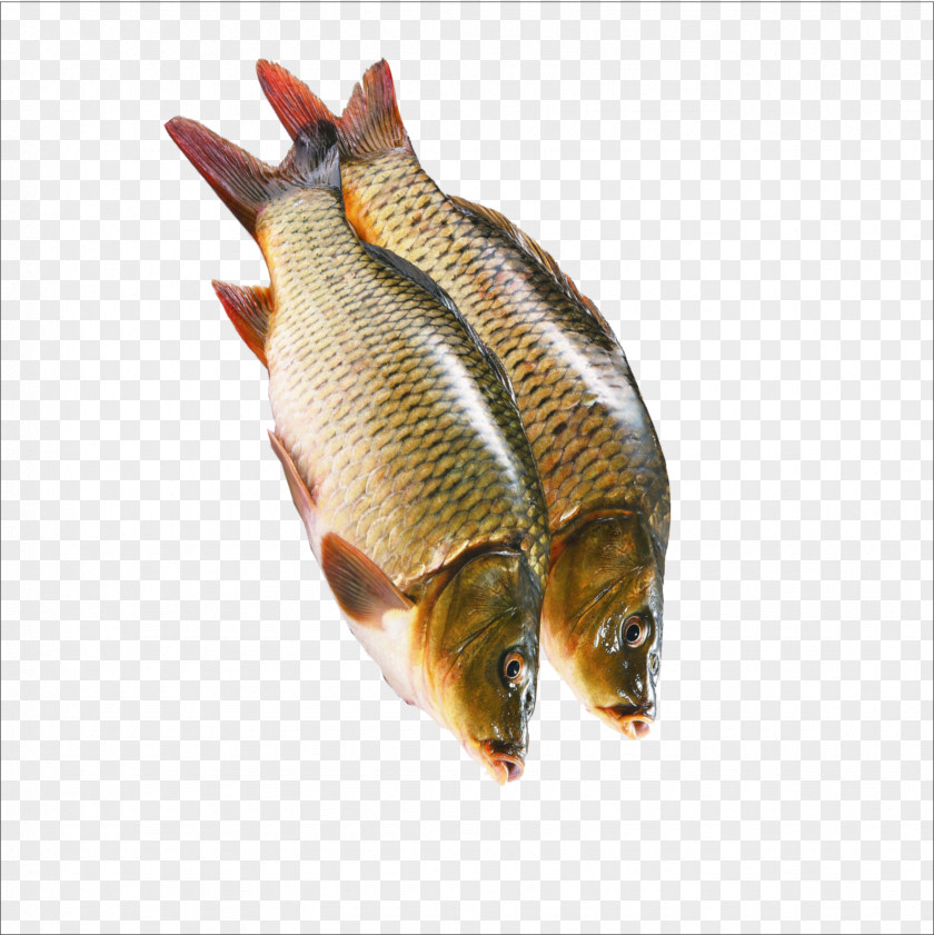Raw Fish Kipper Sashimi Crudo PNG