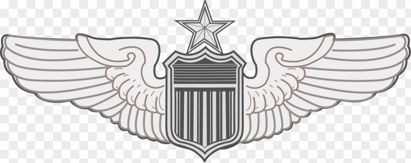 Wings Material U.S. Air Force Aeronautical Rating 0506147919 United States Aviator Badge Badges Of The PNG