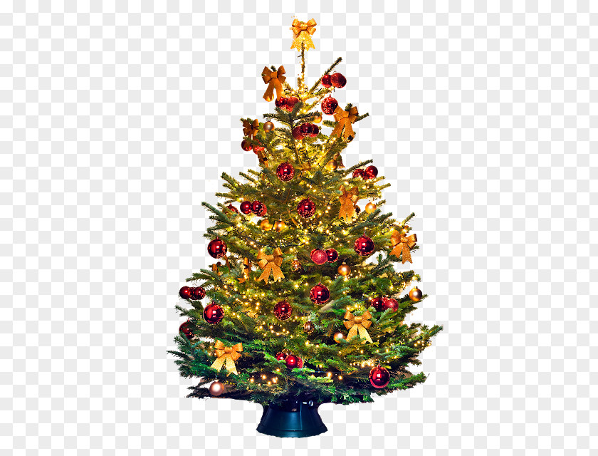 Christmas Tree Clip Art Day Image PNG
