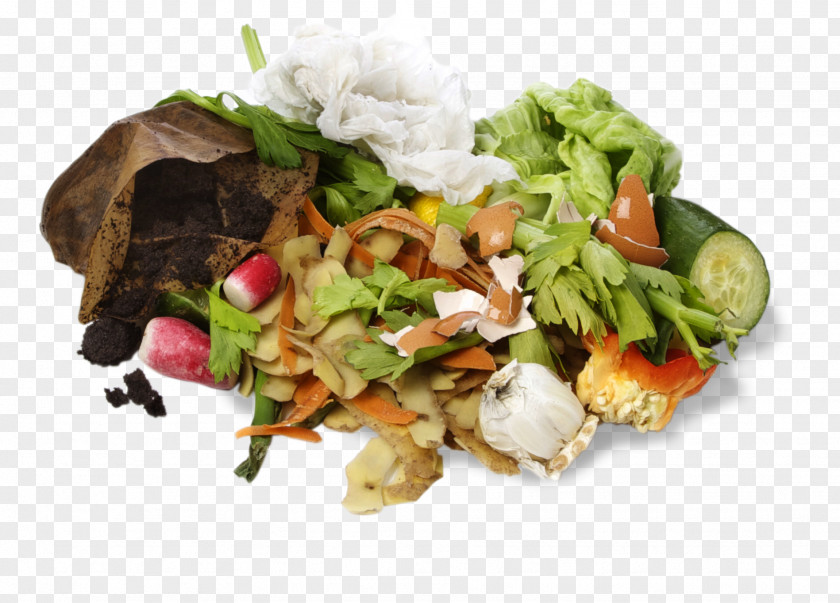 Food Waste Compost Vegetarian Cuisine PNG