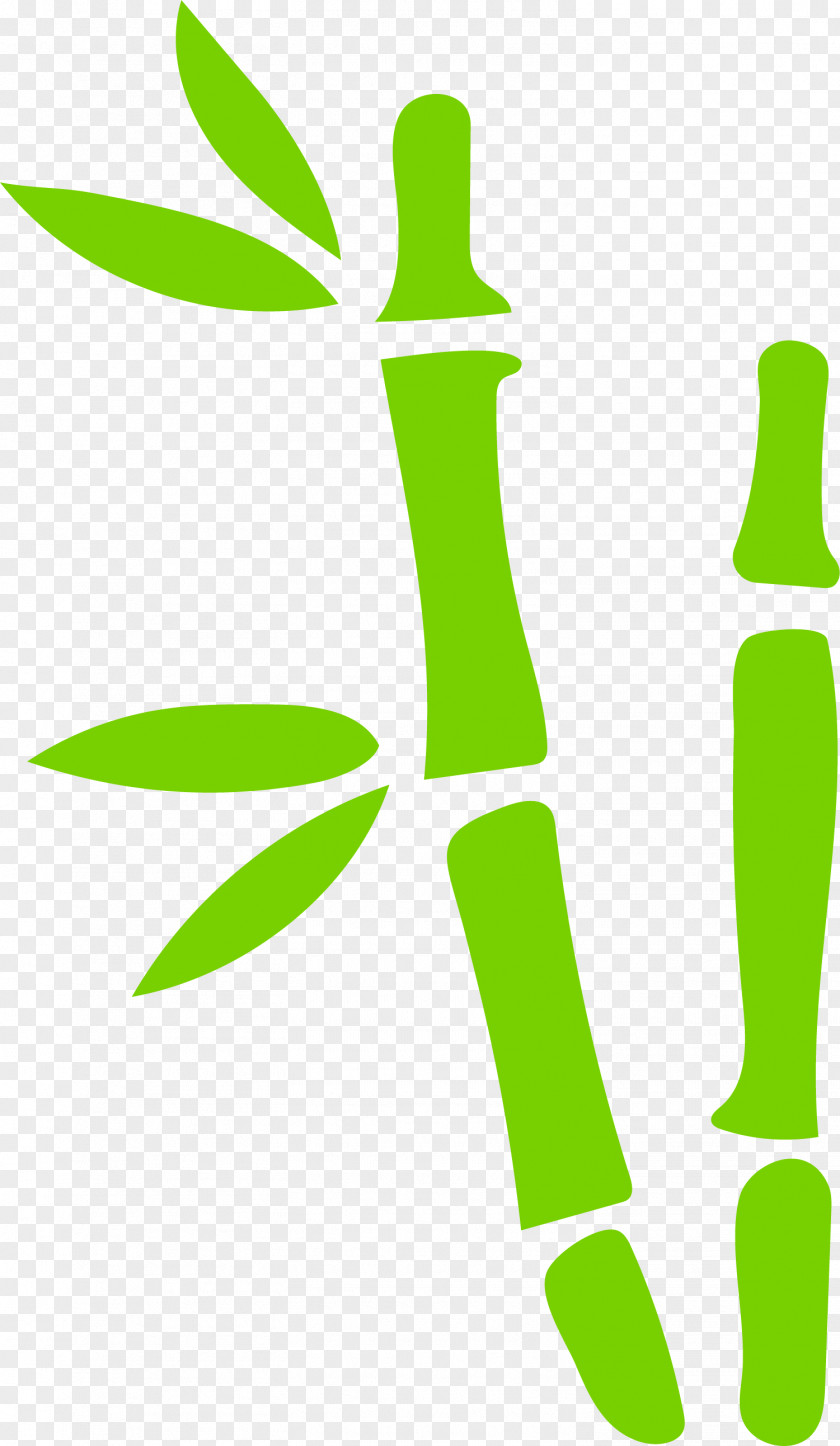 Hand Painted Green Bamboo Leaves Bamboe Euclidean Vector PNG