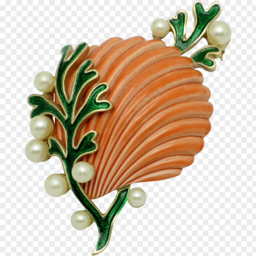 Seashell Clipart Sea Shell Clip Art Image Brooch Drawing PNG