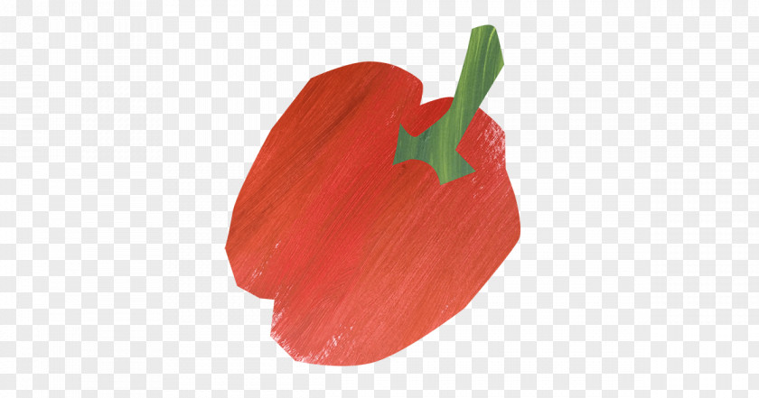 Tulip Chili Pepper Petal Fruit PNG