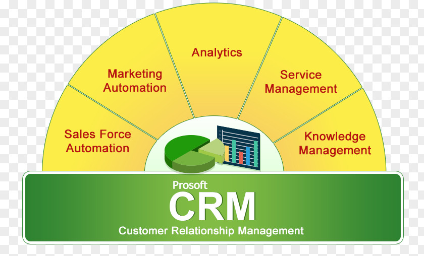 Document Management Systems Customer Relationship Marketing System PNG