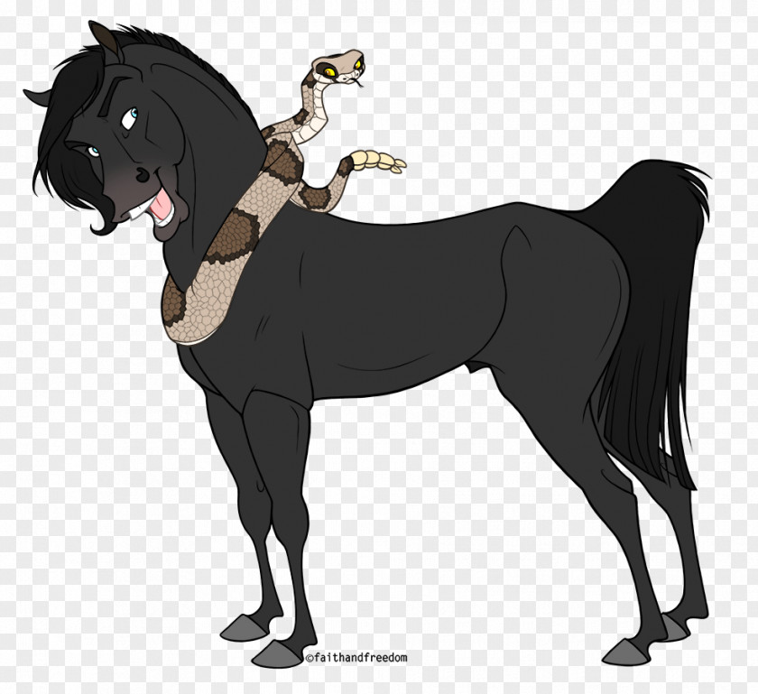 Dog Mustang Pony Stallion Arabian Horse PNG