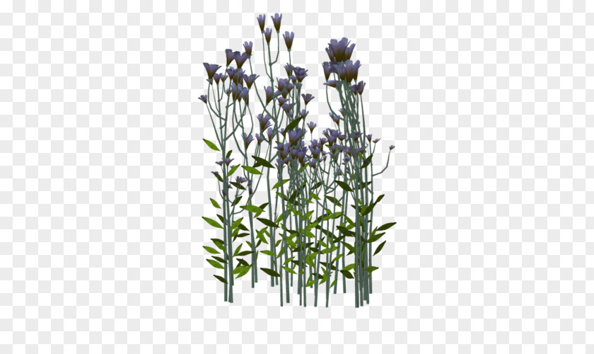 English Lavender Twig Plant Stem Flowerpot PNG
