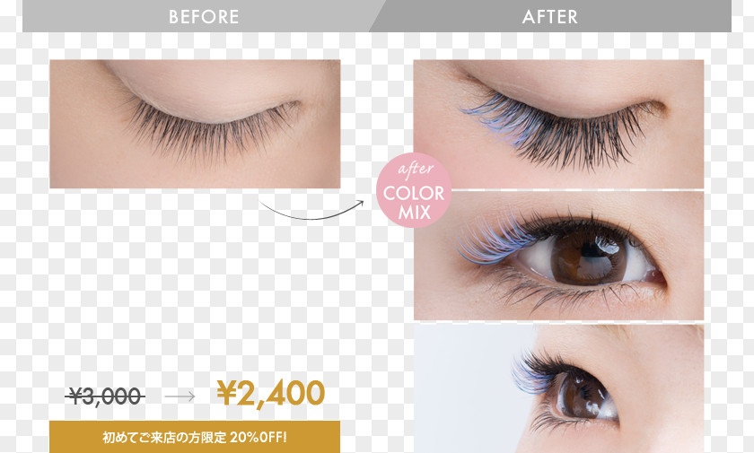 Eyelashes Eyelash Extensions Japanese Yen プロケアアイラッシュ まつ毛エクステンション PNG