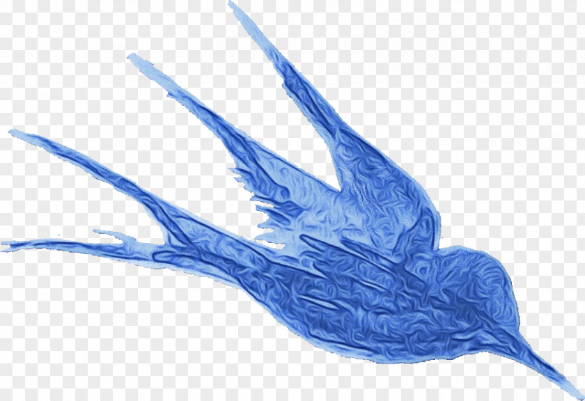 Feather PNG