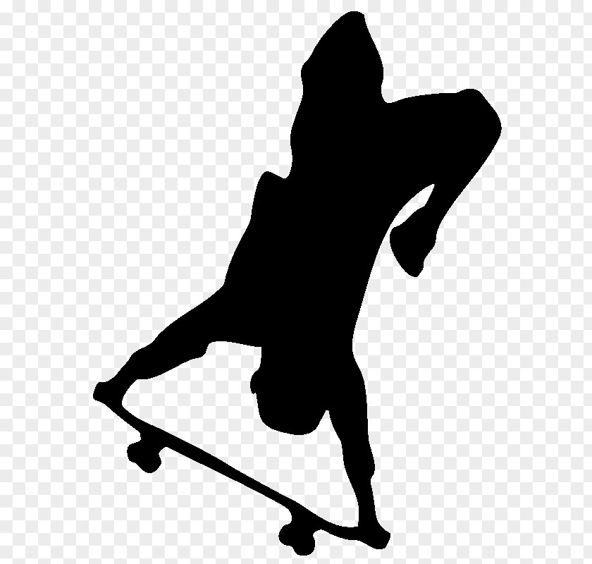 Flower Ornaments Freestyle Skateboarding Sport Kickflip PNG