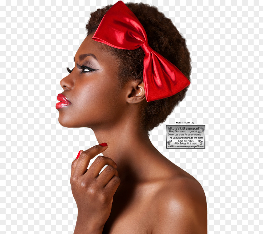 Hair Coloring Afro-textured Hairstyle PNG