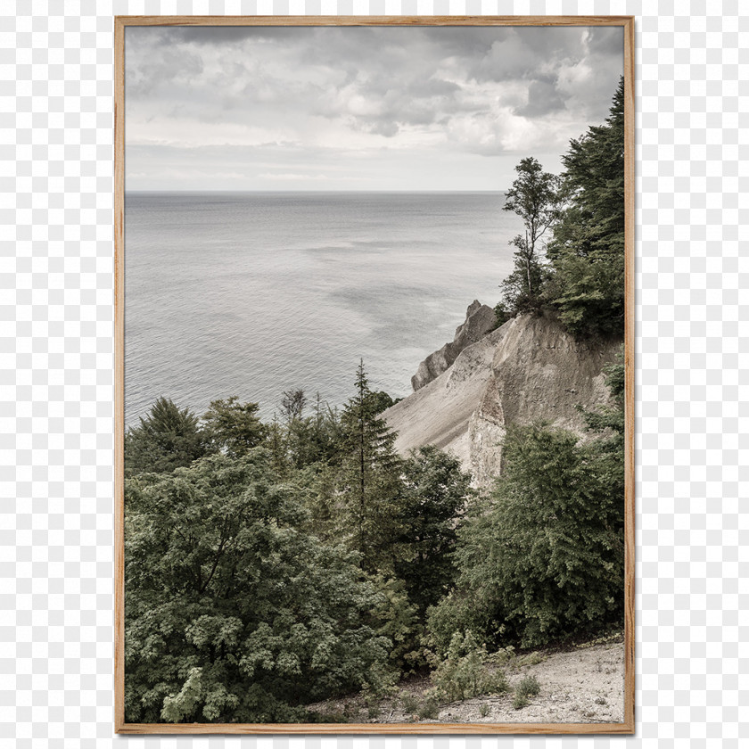 Moens Verpakkingen Zele Møns Klint Stevns Cliff Shore Photography PNG