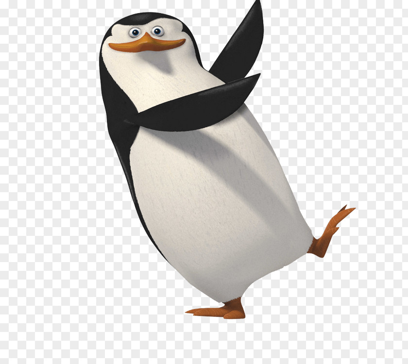 Penguin Image Madagascar Clip Art PNG