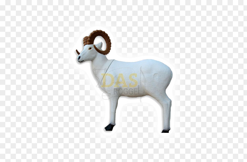 Sheep Bighorn Argali Dall Goat PNG