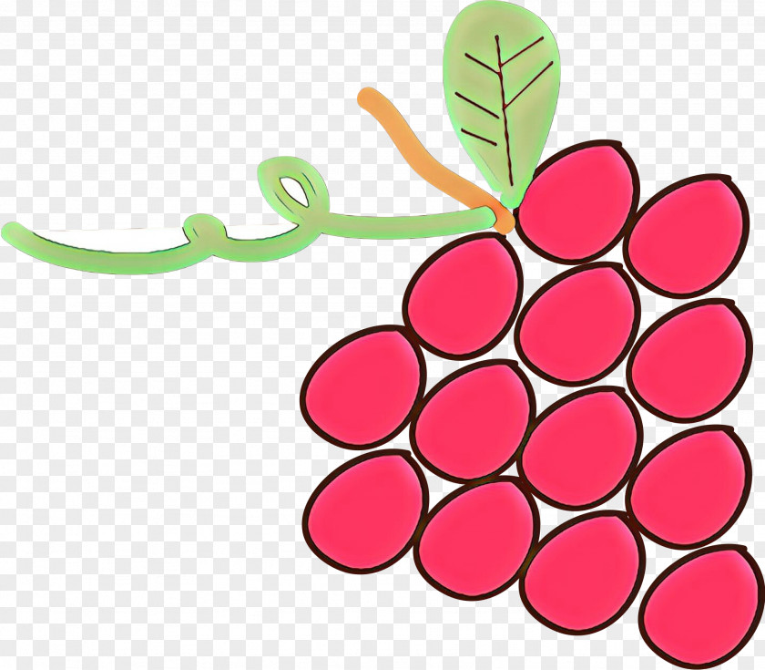 Vitis Plant Family Cartoon PNG