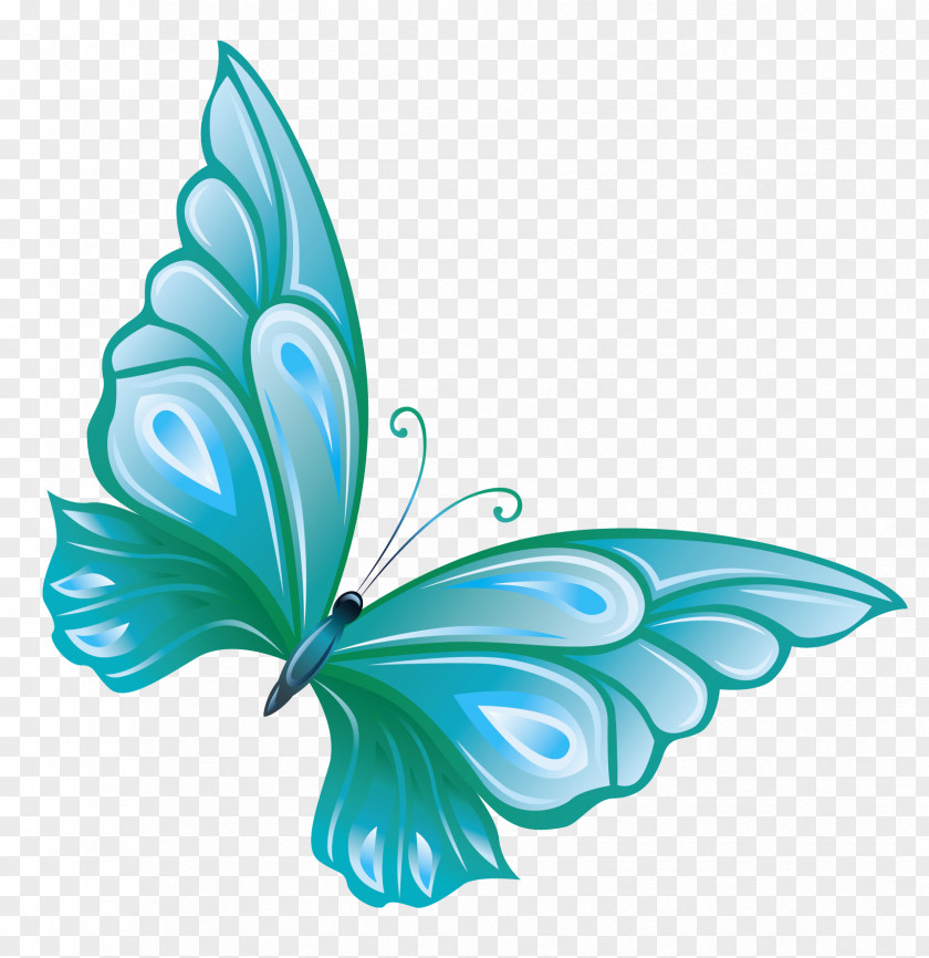 Free Cliparts Butterflies Butterfly Clip Art PNG