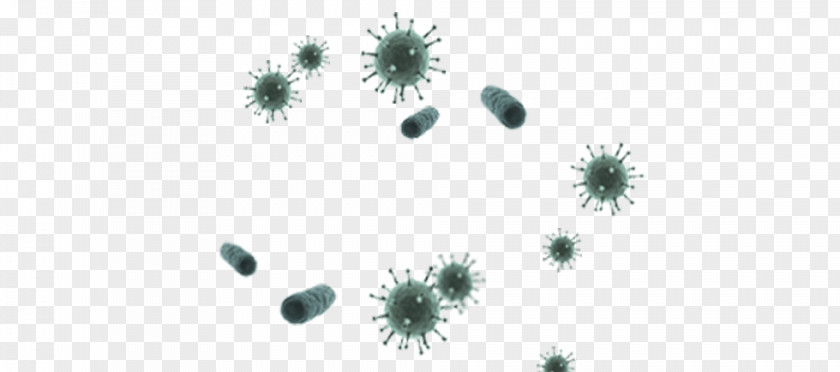Germ Theory Of Disease Virus PNG