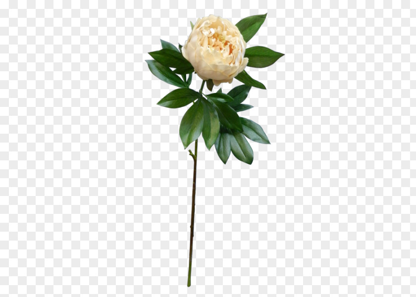 Peony Wedding Cut Flowers Artificial Flower Bouquet PNG