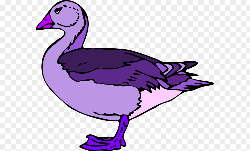 Purple Duck Cliparts Donald Baby Ducks Clip Art PNG
