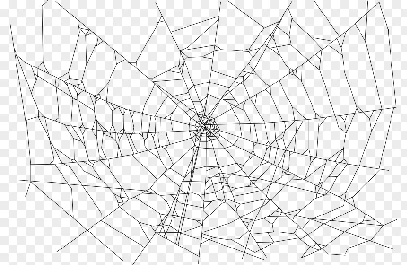 Web Spider Clip Art PNG