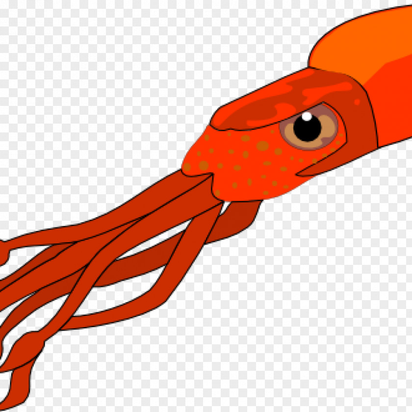 Angry Squid As Food Clip Art Free Content PNG
