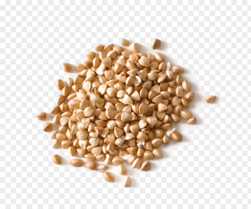 Barley Pearl Beer Fenugreek Liquor PNG