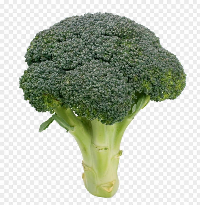 Broccoli Cauliflower Kale Vegetable Variety PNG