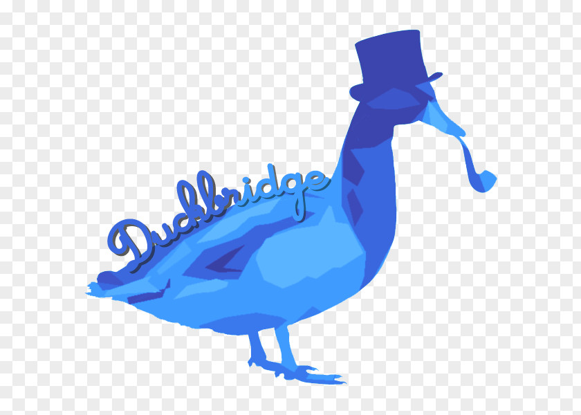Chicken Luckslinger Clip Art Illustration Beak PNG