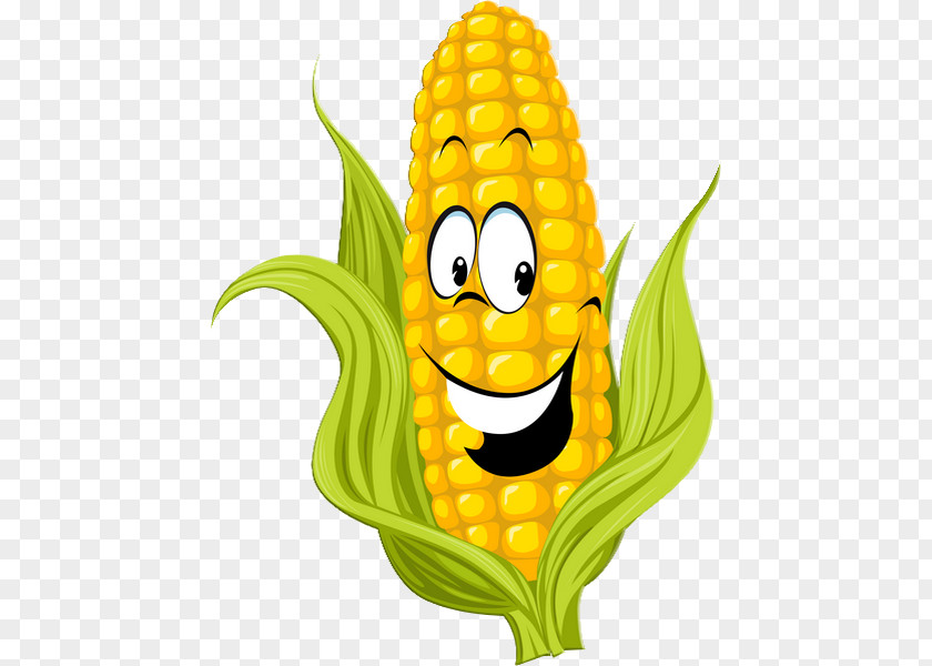 Corn Cartoon On The Cob Maize Sweet Clip Art PNG