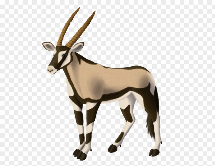 Gazelle Gemsbok Antelope Horn Even-toed Ungulates PNG