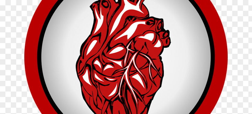 Heart Cardiovascular Disease Acute Myocardial Infarction Surgery PNG