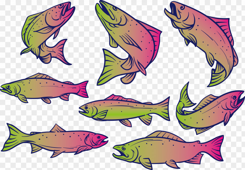 Purple Fish Drawing Clip Art PNG