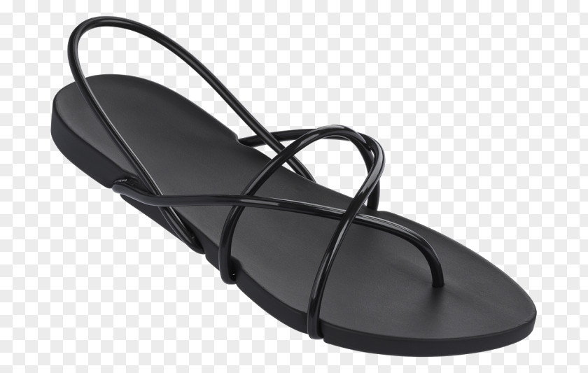 Sandal Ipanema Slipper Shoe Flip-flops PNG