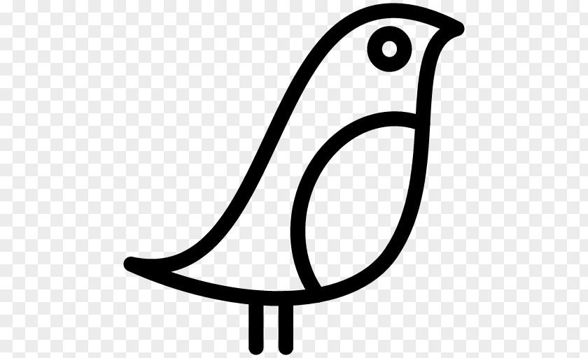 Bird Drawing PNG